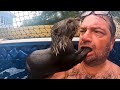 FUNNIEST Wild Animal Moments Caught On Camera
