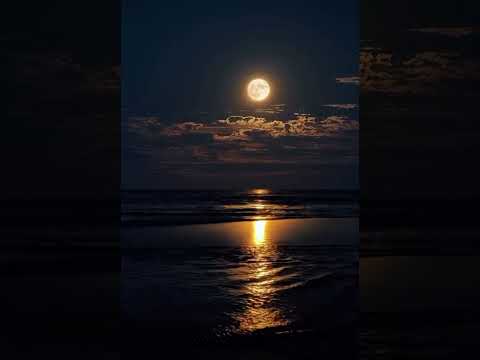 Ajo tjetra-Mikela Mustafa (live piano)