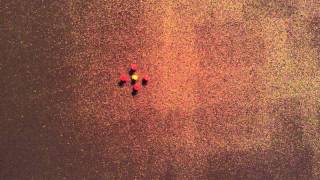 Revive something glorious music video stopmotion animation using thumbtacks and a corkboard