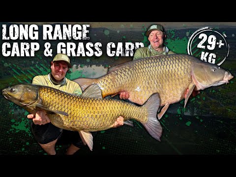 Döme Gábor - Távoli pontyok és amurok