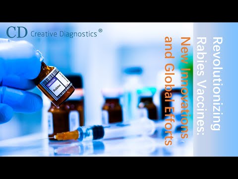 Revolutionizing Rabies Vaccines  New Innovations and Global Efforts