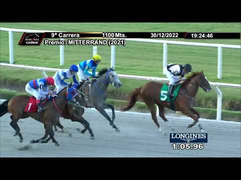 221230 c09 EL MATADOR (BRZ)