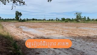 វគ្គរៀបចំដីព្រោះ ភាគ ២