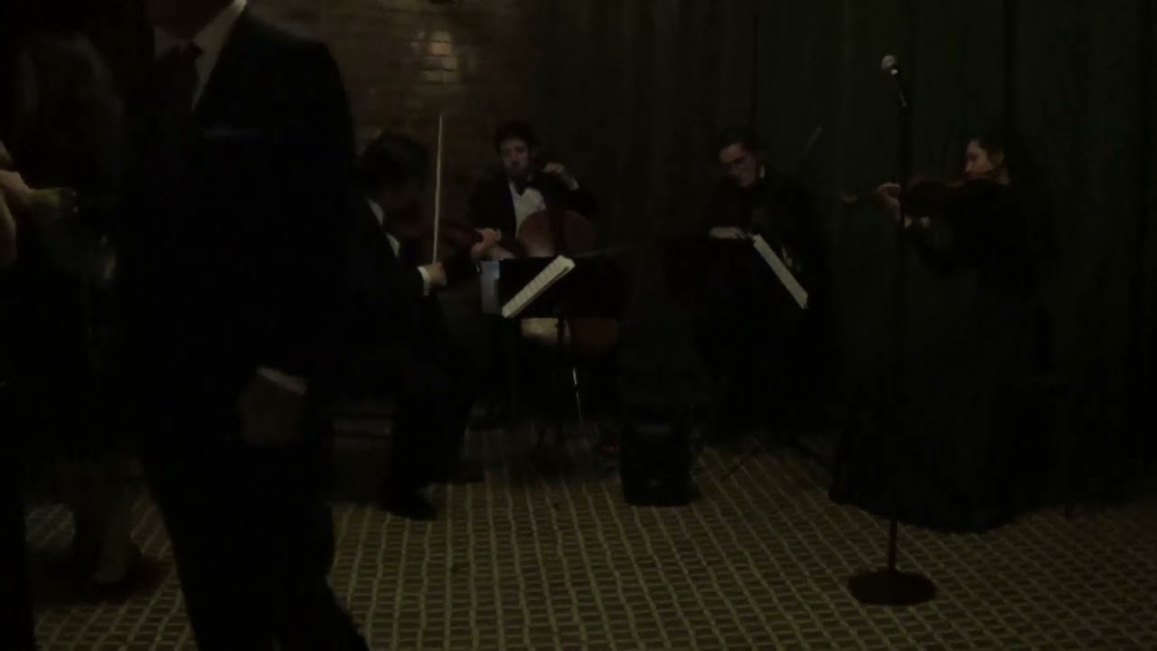 Promotional video thumbnail 17 for Xinou Wei Strings