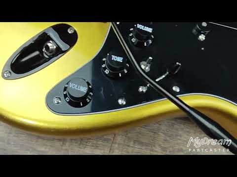 MyDream Partcaster Custom Built - Aztec Gold Acousti-Phonic Gilmour image 13