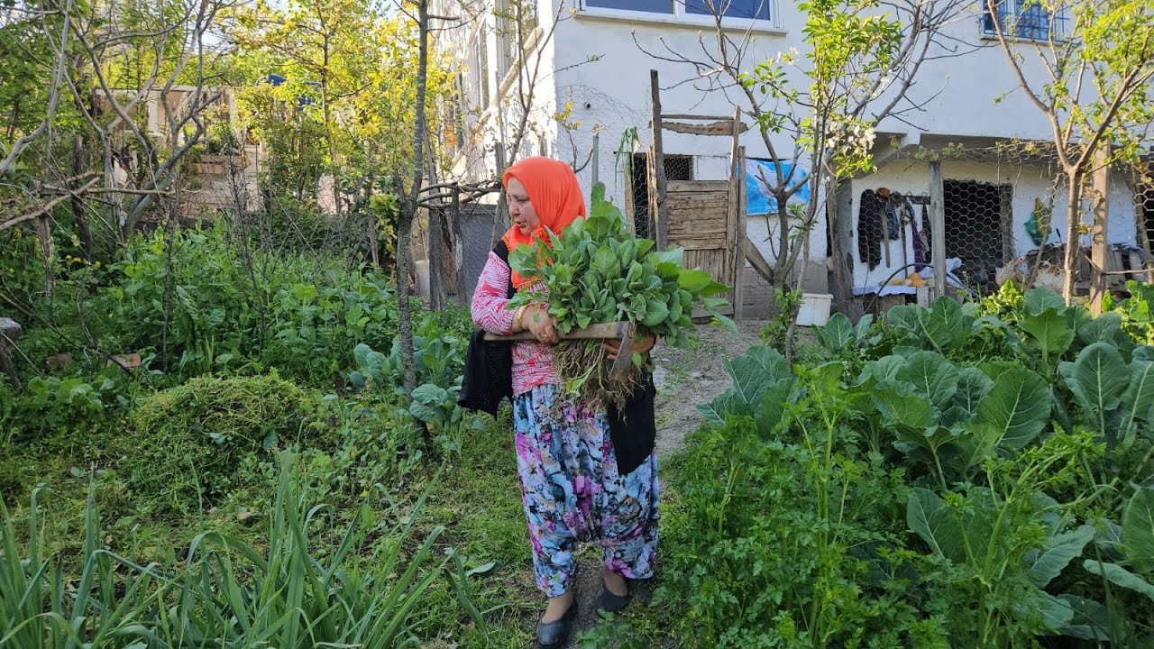‼️BUGÜN AĞRILARIMI ACILARIMI UNUTTUM ‼️ BAĞ BAHÇE İŞLERİ☺️