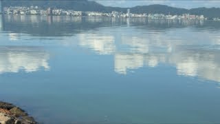 琵琶湖バス釣りライブR8-8/20