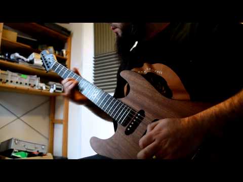 New Guitar day!! Chapman ML1 Natural Lefty