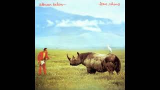 ༺Adrian Belew༻ Adidas in Heat