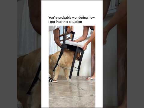 And no lesson was learned 😭