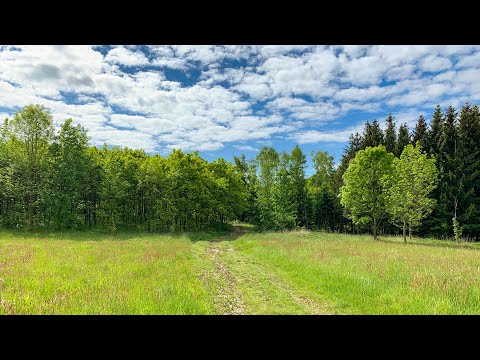 Góry Bardzkie, Brzeźnica - Sudety, Poland 2020