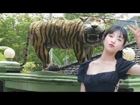 Dadang Rosikin x Anwar Shorty x FlamingHotM0d0l - Mursada (Intro) (Lyrics Video)