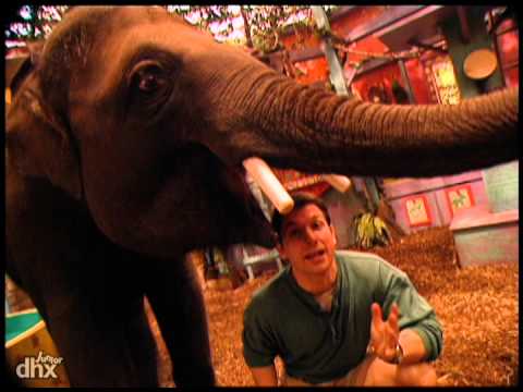 Zoboomafoo 101 - Un nez pour sentir