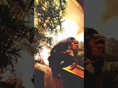 Let Em Hate - YounGemini