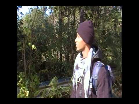 Louieville sluggah - Guide You