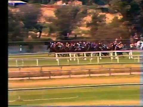 1981 Perth Cup and Railway Stakes