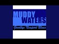 Wee Wee Baby (Live) - Muddy Waters - Topic Wee Wee Baby (Live)