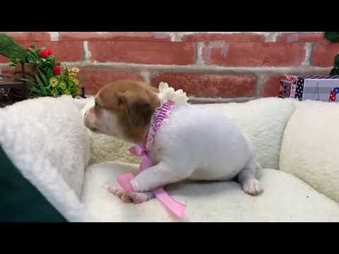 download lagu mp3 mp4 407292, download lagu 407292 gratis, unduh video klip 407292