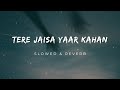 Tere Jaisa Yaar Kahan (1981) [Slow & Reverb] - Kishor Kumar | Slow Symphony