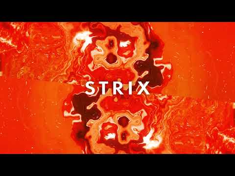 Michael Bibi - Got The Fire