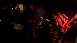 Miniature Tigers - Afternoons With David Hockney LIVE