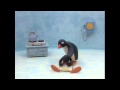 PINGU Sottotitolato La Nascita Di Pinga Pt 1