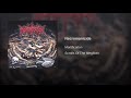 Mortification - Necromanicide subtitulos español.