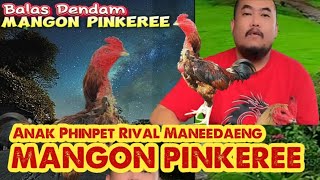 Download lagu Revenge of the Mango Chicken named Pinkeree mp3 Download lagu Revenge of the Mango Chicken named Pinkeree mp3
