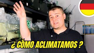 🔴 🐟 Cómo Aclimatar Peces? Te lo comentamos en #firemouth