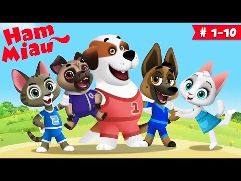 Ham Miau 🐶 ep. 1-10 🐱 Desene animate pentru copii -  HeyKids