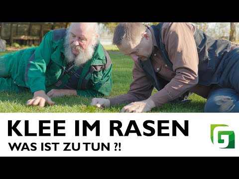 KLEE IM RASEN - Die besten TIPPS und TRICKS [Das GreenTeam] (Staffel 1 - Folge 2)
