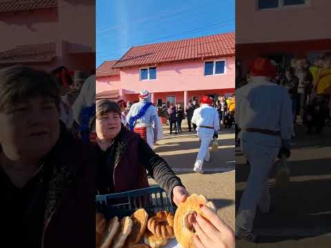 Datini si obiceiuri sat Mesteacan  , com Icusesti