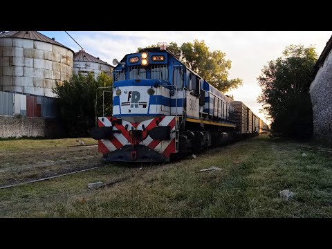 El 238 y la 9009 pasando a paso de tortuguita por Azul 