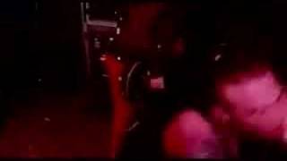 Full Devil Jacket - Stain