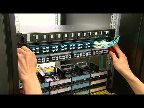 Legrand - 36 LC Duplex Multimode Connectors