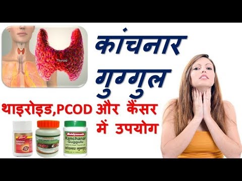 Kanchnar guggulu benefits in thyroid, cancer and pcos