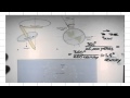 ASTR 1P01 CLIP 38 Precession Of Earth S Rotation Axis