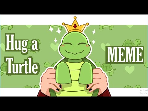 Hug A Turtle MEME (Bday vid)