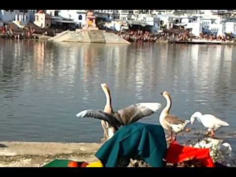 Ajmer video