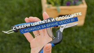 Vesco B1 - ножица за бране на плодове, цветя и зеленчуци | Лек и удобен инструмент