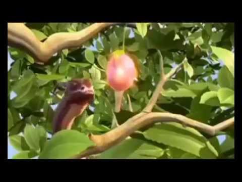 Story of Adam and Eve by Joanna Maria