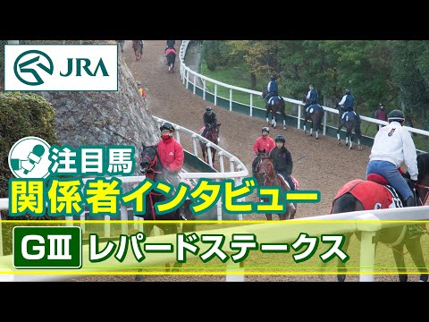 【注目馬 関係者インタビュー】2025年 レパードステークス｜JRA公式