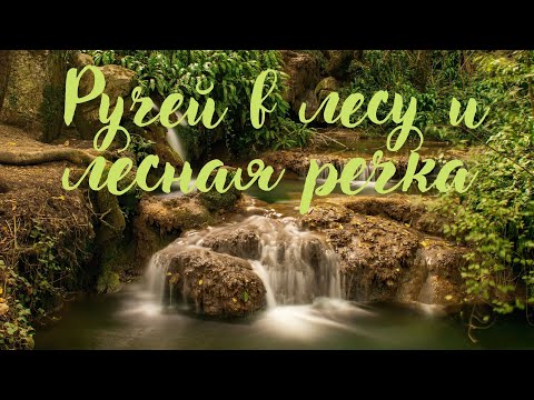Ручей в лесу и лесная речка. Романтическая музыка.