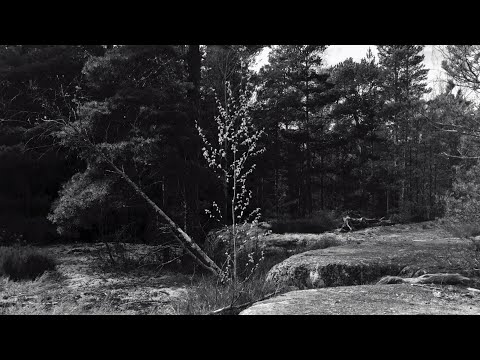 MNMT 269 - LAURA MRLS