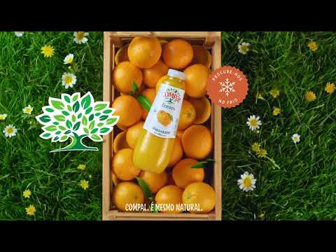 Sumo Laranja do Algarve Fresco embalagem 250 ml