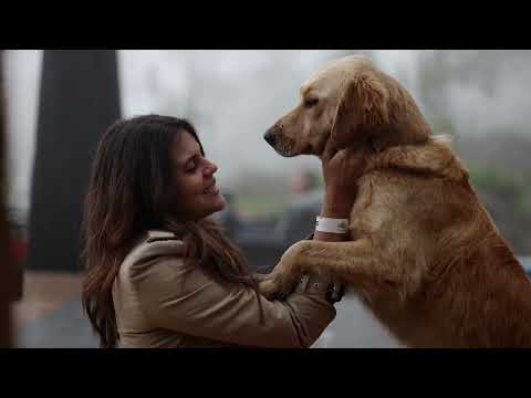 Techy Fatule - Te Voy a Enamorar (video oficial) 😍