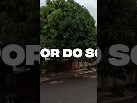 🔥 Novo ponto de pescaria em Fronteira-MG! Lugar top e peixe bruto 🎣