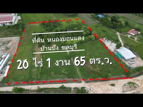 หนองบอนแดง, ชลบุรี, หนองบอนแดง, บ้านบึง, ชลบุรี, 32,660 ตร.ม., ที่ดิน ขาย, โดย ภัสสร์ปภา นิลคช, 500361155 - DDproperty.com