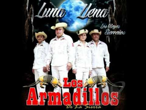 09 Dónde Estará   Los armadillos de la sierra