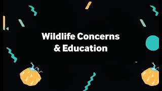 Educational Video on Wildlife Concerns and Awareness Feat. Ms. Rosina Philippe - Seeds of Innovation